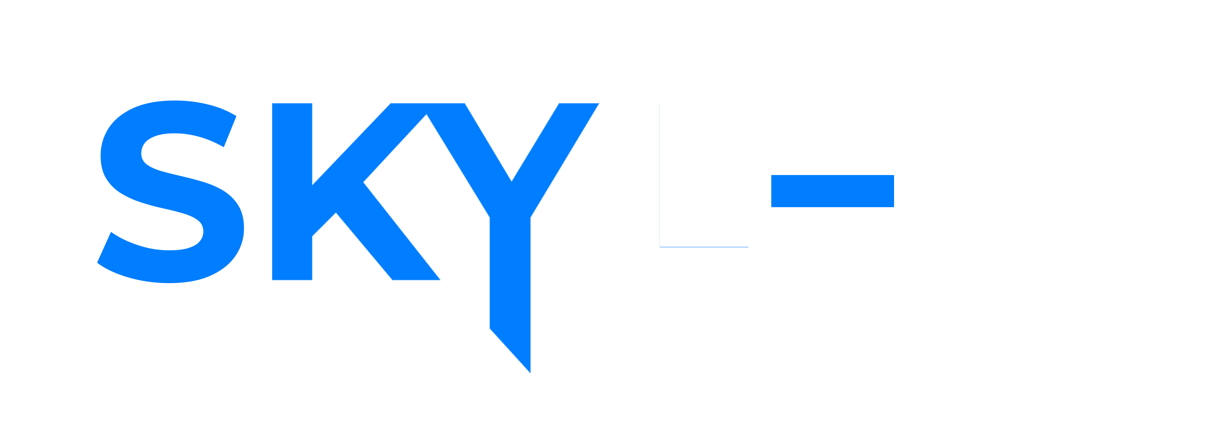 skyler Logo
